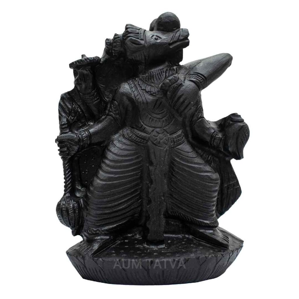 Varaha (Third Incarnation of Lord Vishnu) AUMSHI06