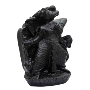 Varaha Shaligram