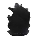Varaha Shaligram