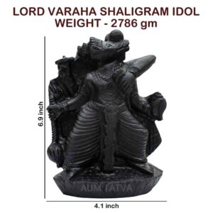 Varaha Shaligram