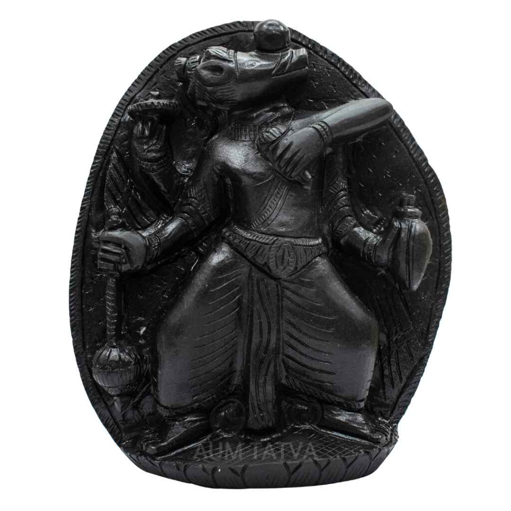 Varaha (Third Incarnation of Lord Vishnu) AUMSHI07