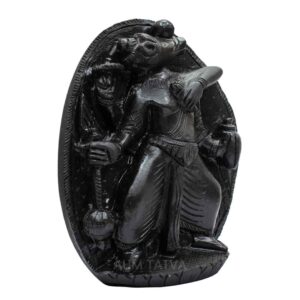 Varaha Shaligram