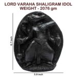 Varaha Shaligram