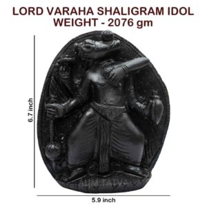 Varaha Shaligram