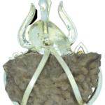 1 Mukhi Rudraksha Trishul Ganesha Pendant (Silver Metal)