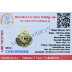 1 Mukhi Rudraksha Trishul Ganesha Pendant (Golden Metal)