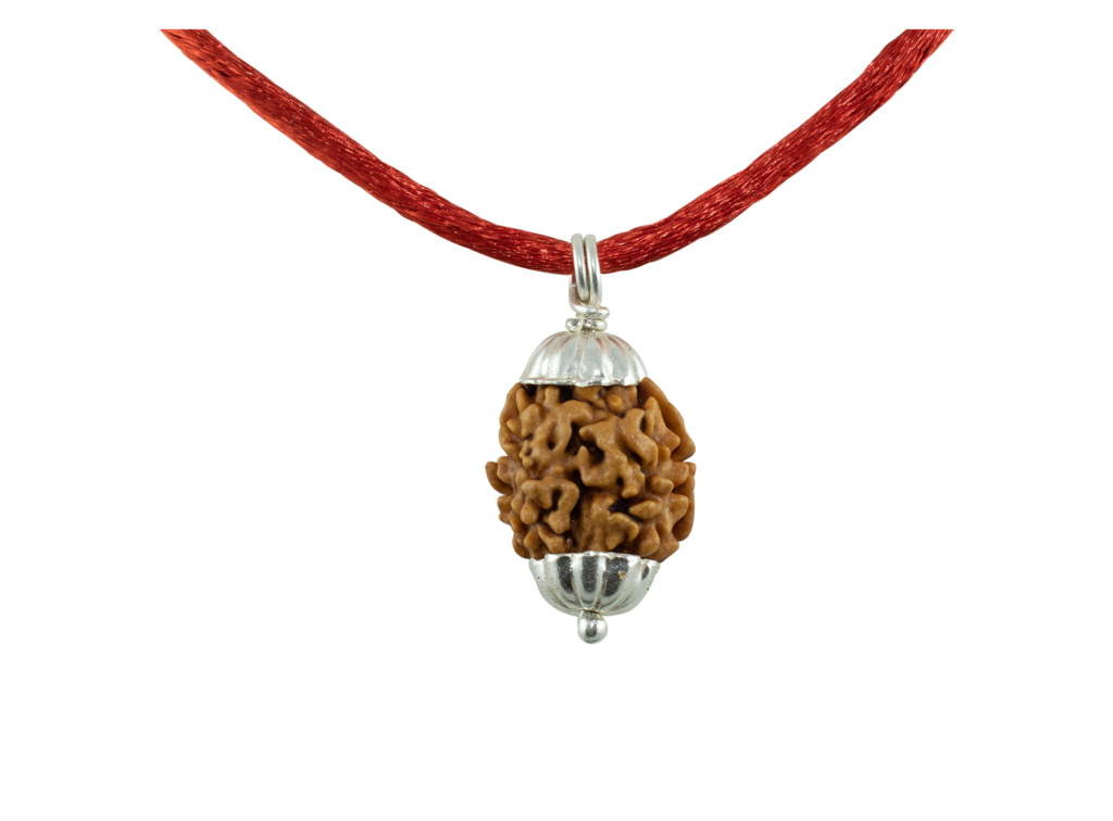 2 Mukhi Rudraksha Pendant/Two Face Rudraksha Pendant - Pure Silver Cap (Lab Certified)