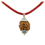 2 Mukhi Rudraksha Pendant/Two Face Rudraksha Pendant - Pure Silver Cap (Lab Certified)