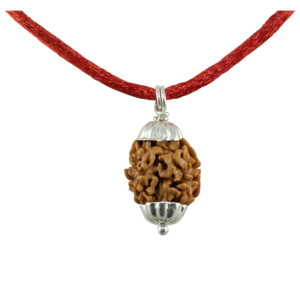 2 Mukhi Rudraksha Pendant/Two Face Rudraksha Pendant - Pure Silver Cap (Lab Certified)