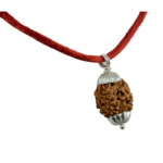 2 Mukhi Rudraksha Pendant/Two Face Rudraksha Pendant - Pure Silver Cap (Lab Certified)