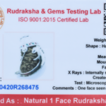 One Mukhi Rudraksha Pendant (Ganesha Silver Pendant)