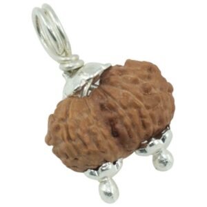 rudraksha