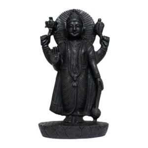 Shaligram Idol