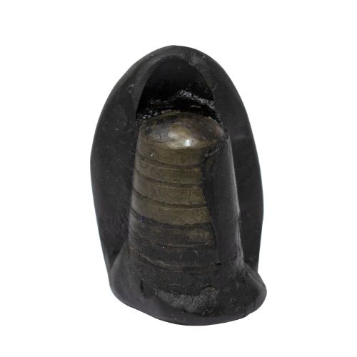 Shaligram
