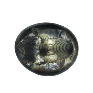 Shaligram Shila